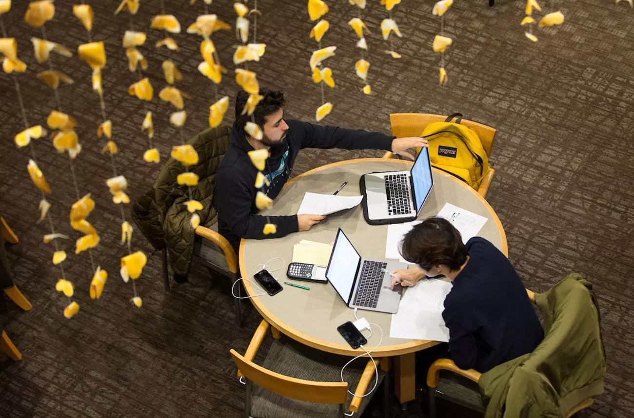 students using laptops in the library