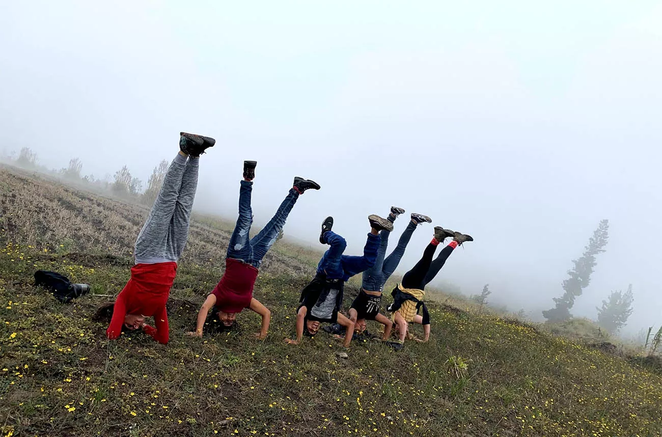 Several students doing headstands