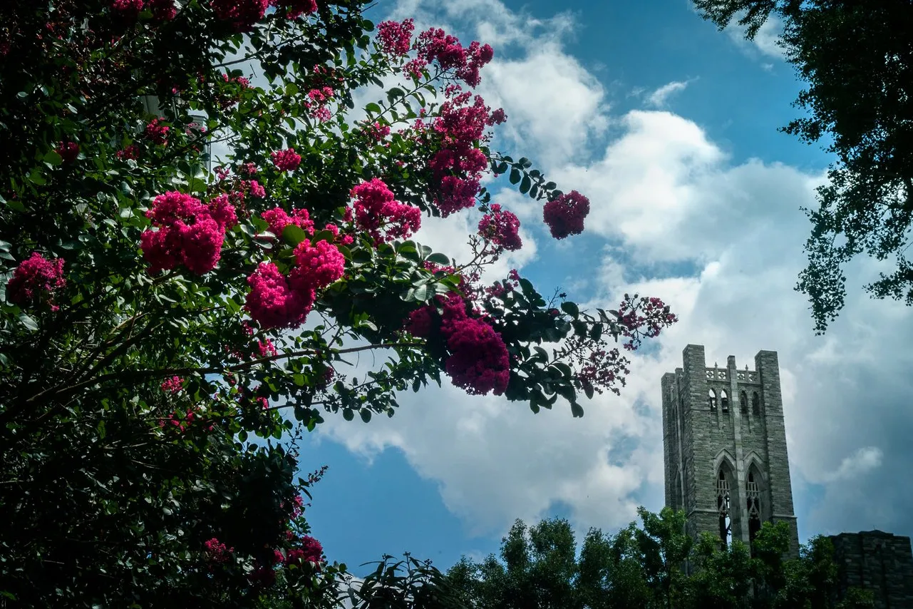 Clothier tower in background with flowers blooming in foreground