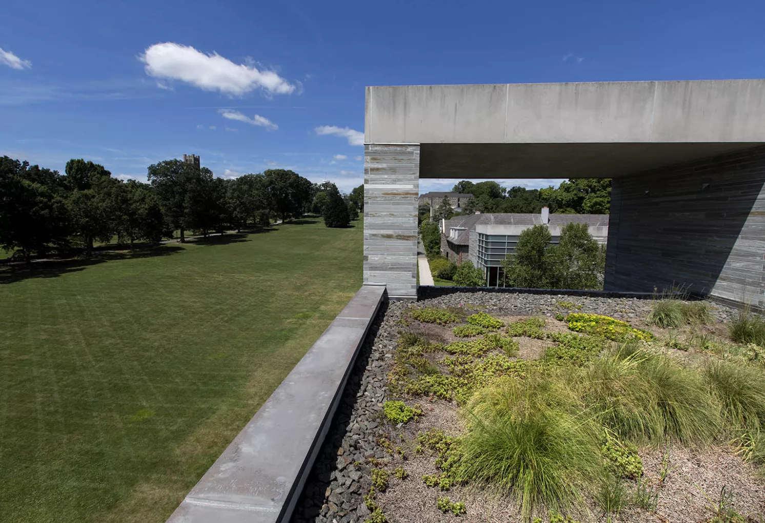 Green roofs at Swarthmore