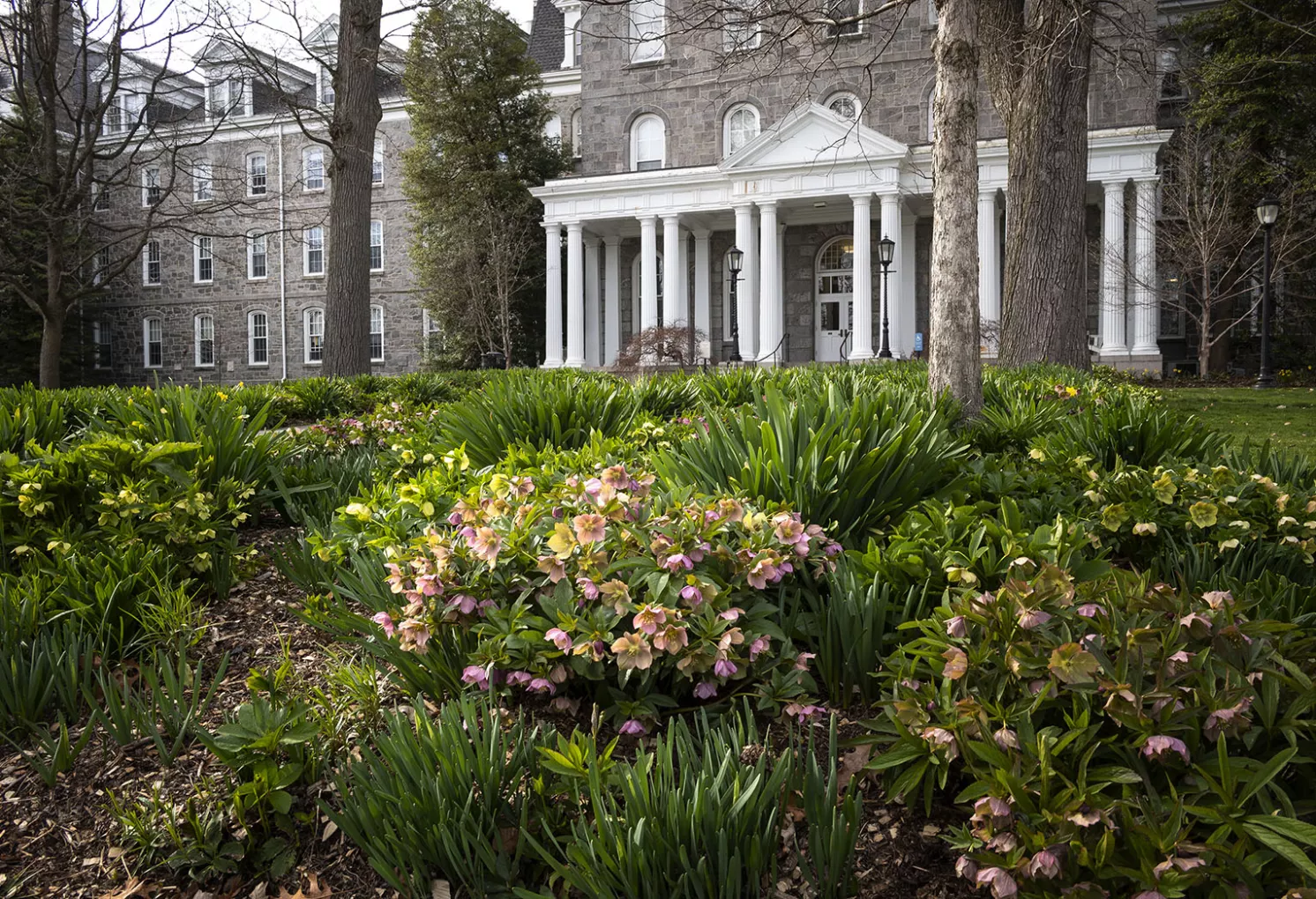parrish hall in the spring