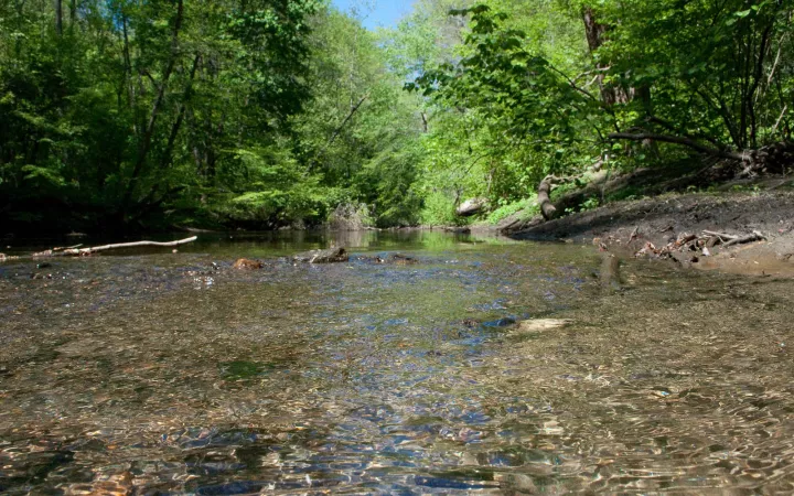 Summer shot of the Crum Creek