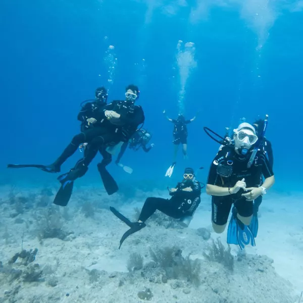 students scuba diving, photo taken underwater