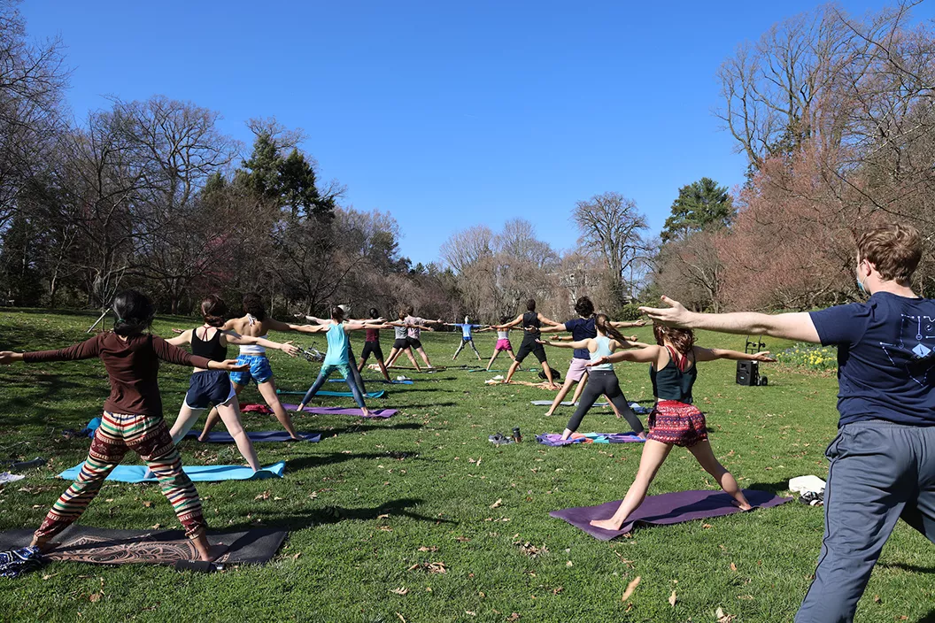 Students practice yoga outdoors