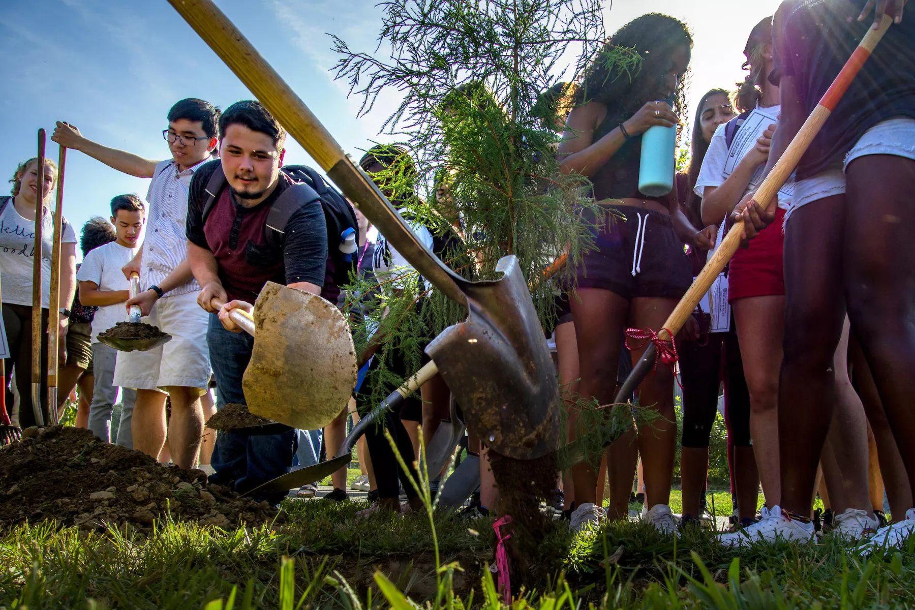 Class of 2024 plants their class tree as part of orientation activities on the campus of Swarthmore College